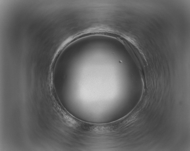 X0000058771366200510031034