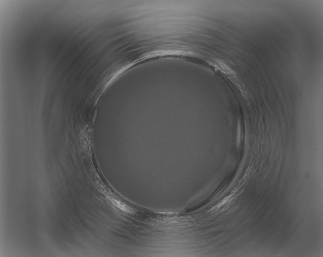 X0000058771369200510031034