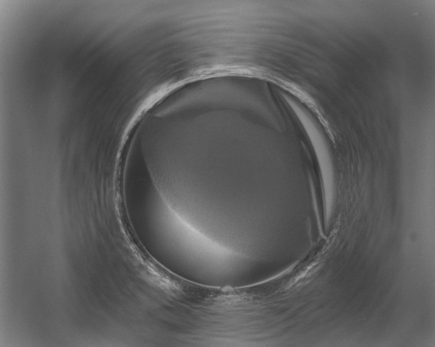 X0000058771373200510031034
