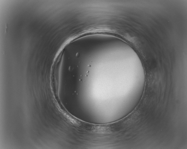 X0000058771374200510031034