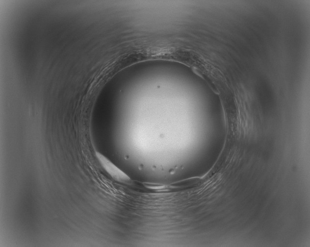 X0000058771393200510031033
