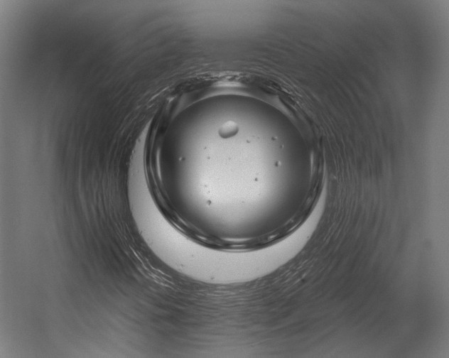 X0000058771394200510031033