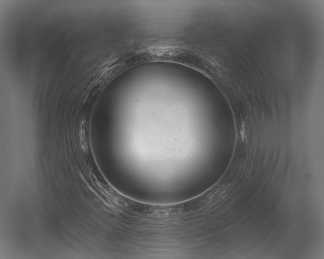 X0000058771396200510031033