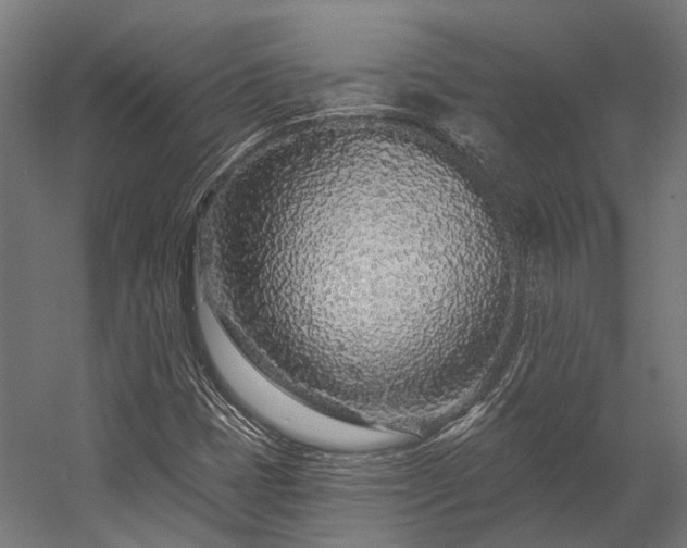X0000058771401200510031033