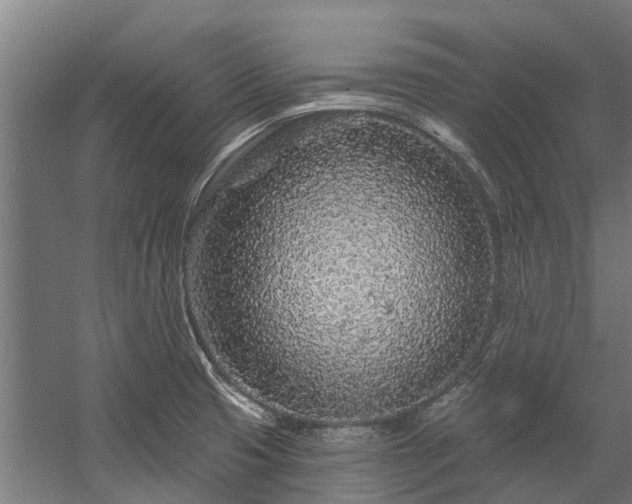 X0000058771425200510031033
