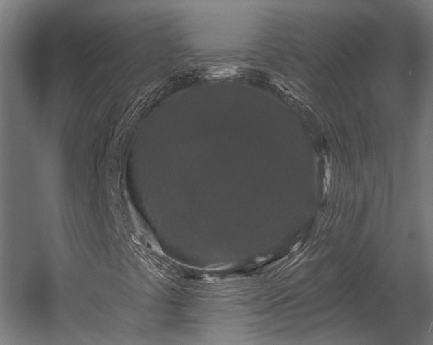X0000058771441200510031033