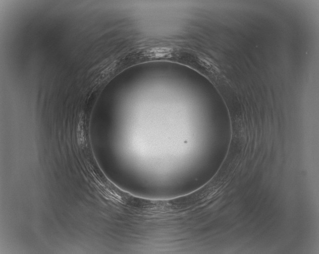 X0000058771442200510031033