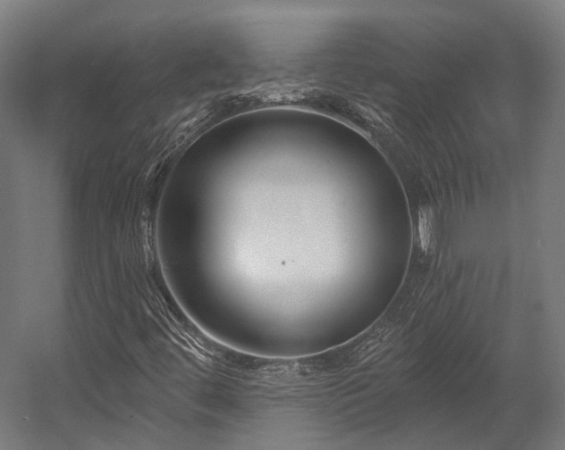 X0000058771444200510031033