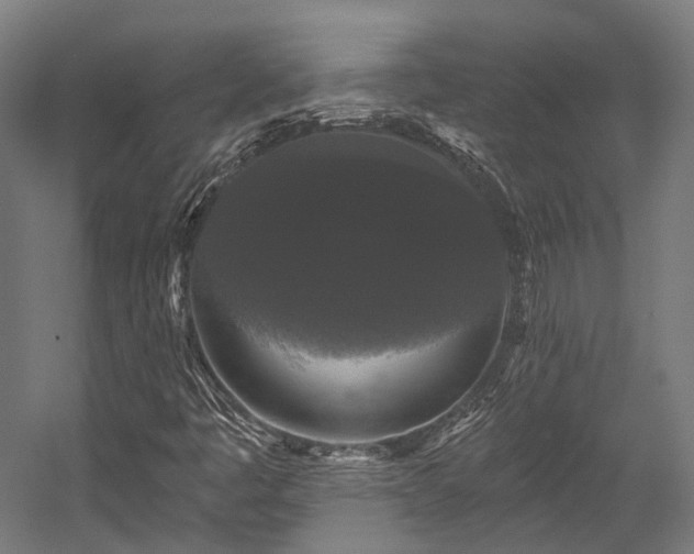 X0000058771445200510031033
