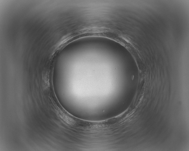 X0000058771451200510031033