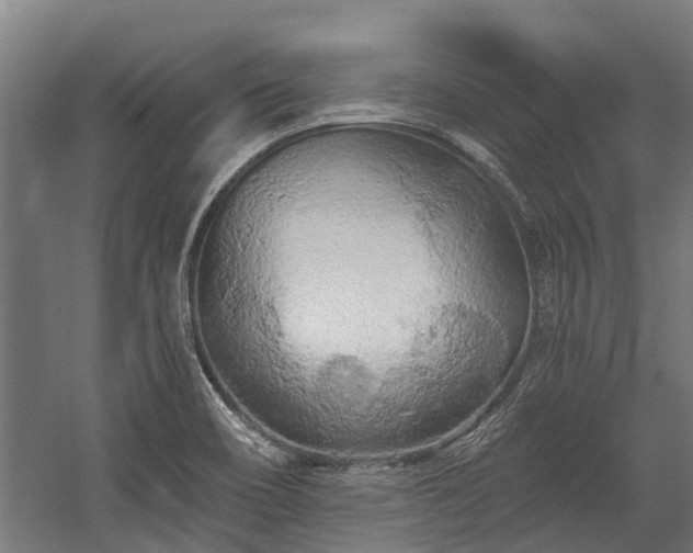 X0000058771466200510031032