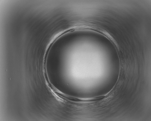 X0000058771485200510031032