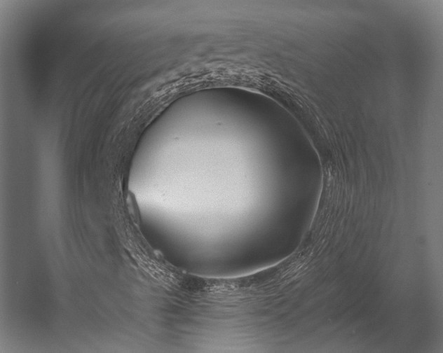 X0000058771489200510031031