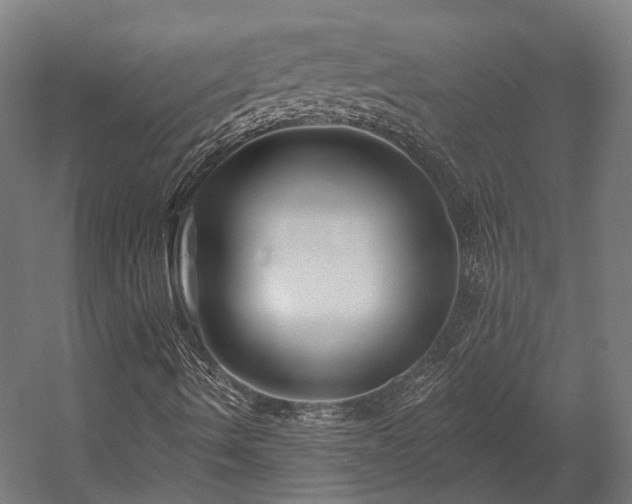 X0000058771490200510031031