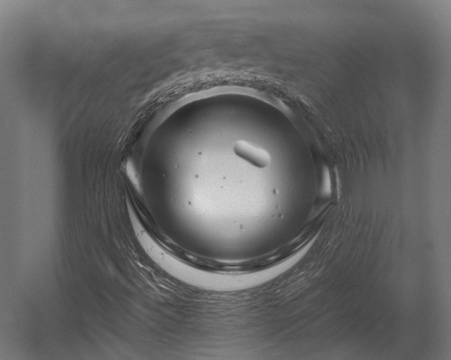 X0000058771492200510031031