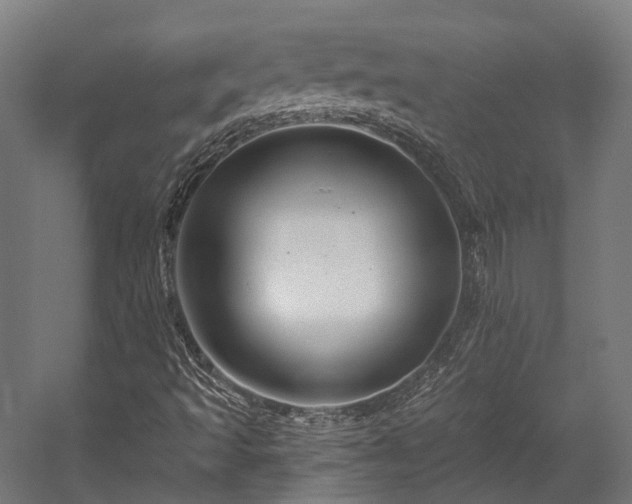 X0000058771493200510031031