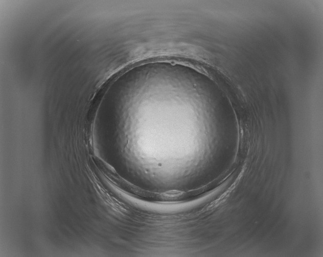 X0000058771497200510031031
