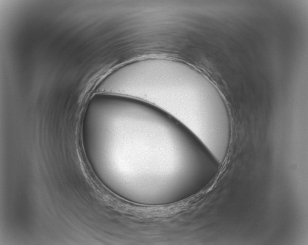X0000058770001200510071555