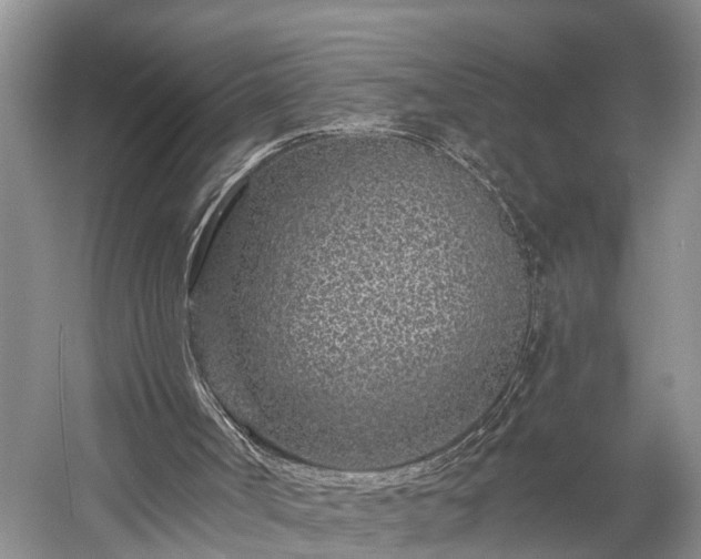 X0000058770002200510071555
