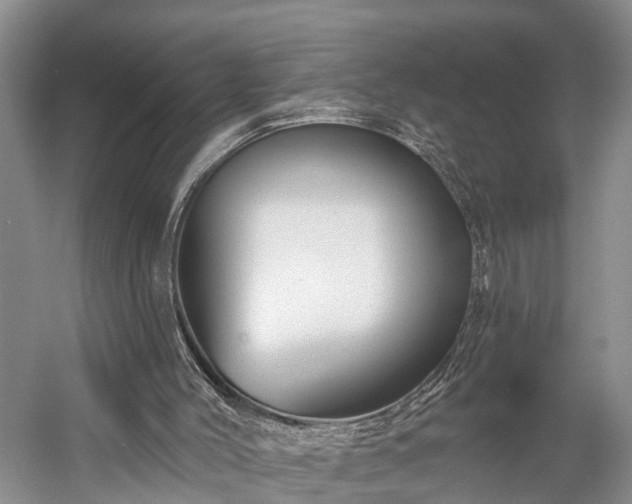 X0000058770004200510071555