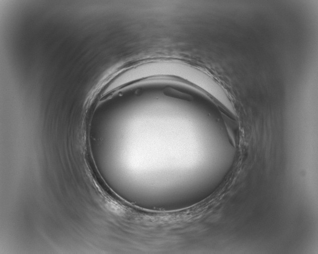 X0000058770005200510071555