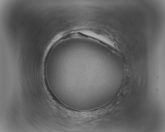 X0000058770006200510071555
