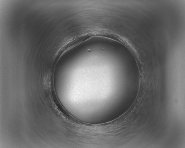 X0000058770010200510071555