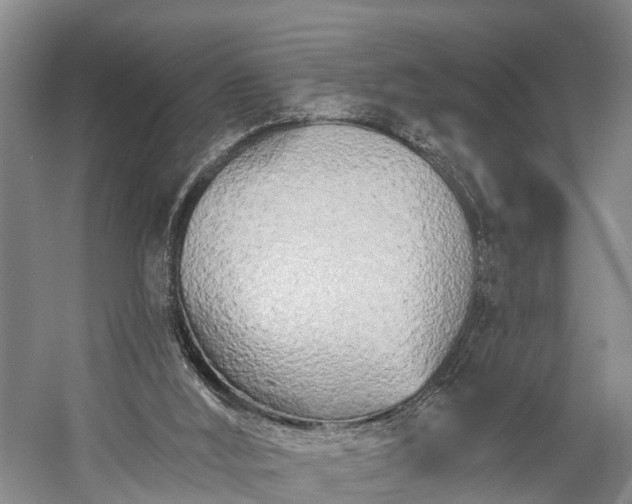X0000058770012200510071555