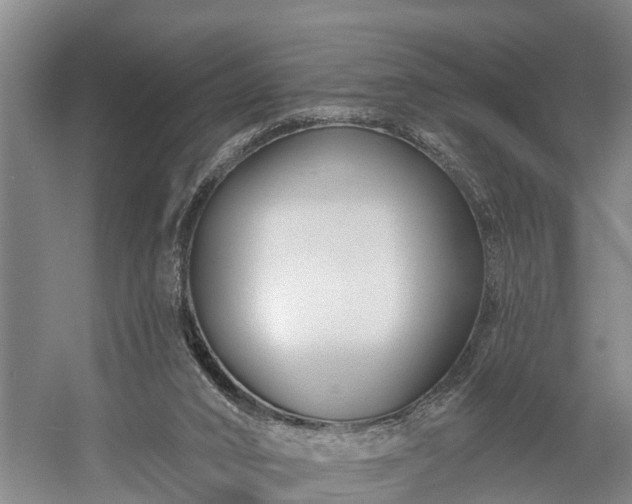 X0000058770016200510071554