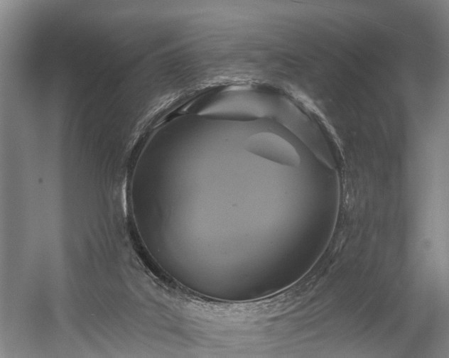 X0000058770019200510071554
