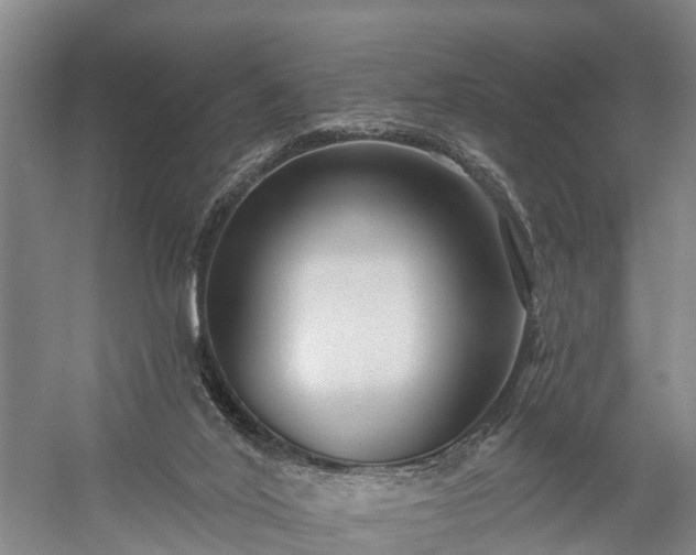 X0000058770020200510071554