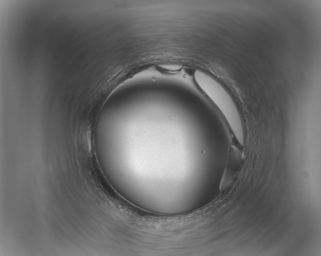 X0000058770021200510071554