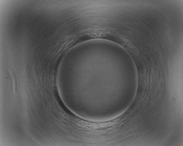 X0000058770035200510071554