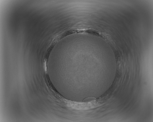 X0000058770042200510071554