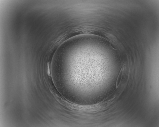 X0000058770046200510071554