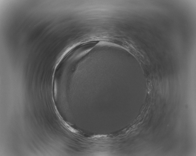 X0000058770052200510071553