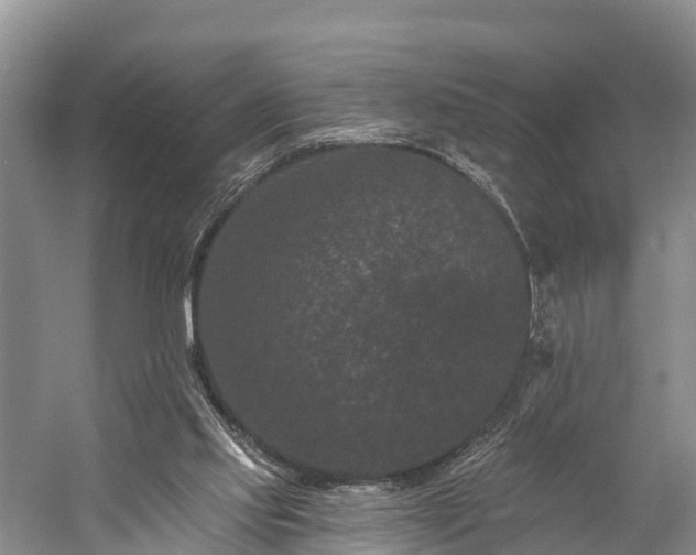 X0000058770061200510071553