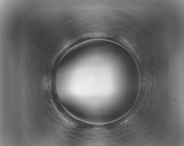 X0000058770063200510071553