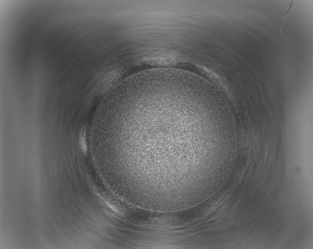 X0000058770069200510071553