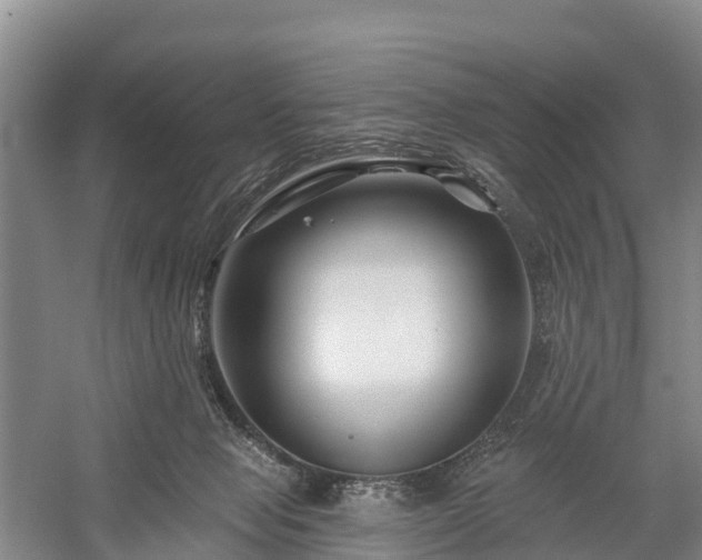 X0000058770077200510071554