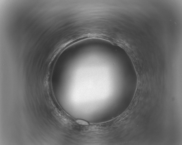 X0000058770098200510071553