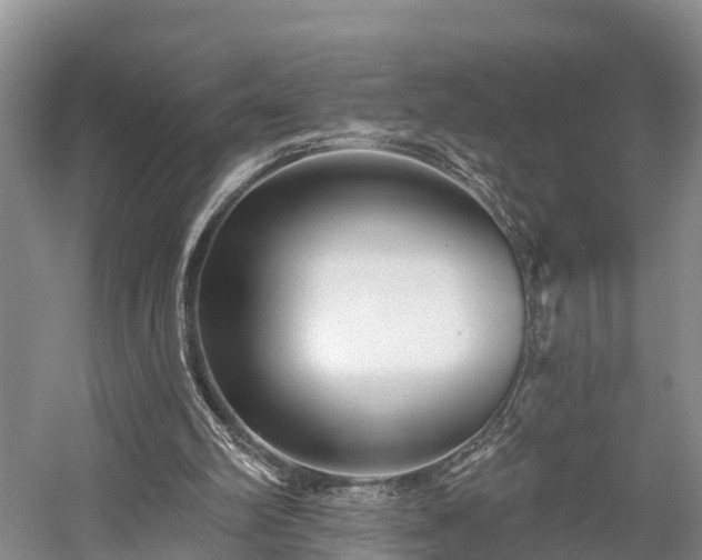 X0000058770102200510071553