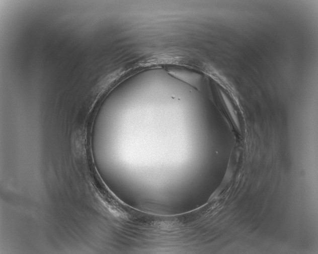 X0000058770107200510071553