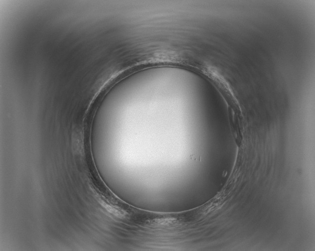 X0000058770108200510071553