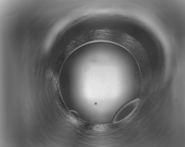 X0000058770142200510071552