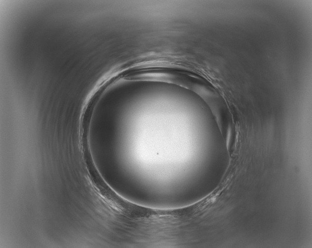 X0000058770150200510071552