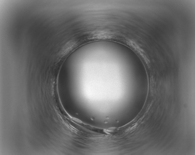 X0000058770153200510071552