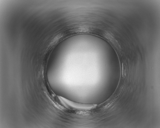 X0000058770157200510071552