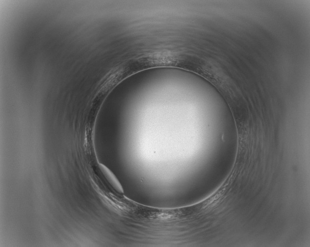 X0000058770166200510071552