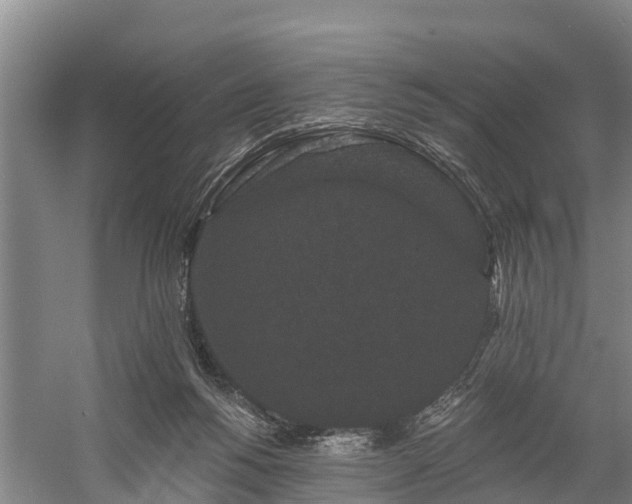 X0000058770168200510071552